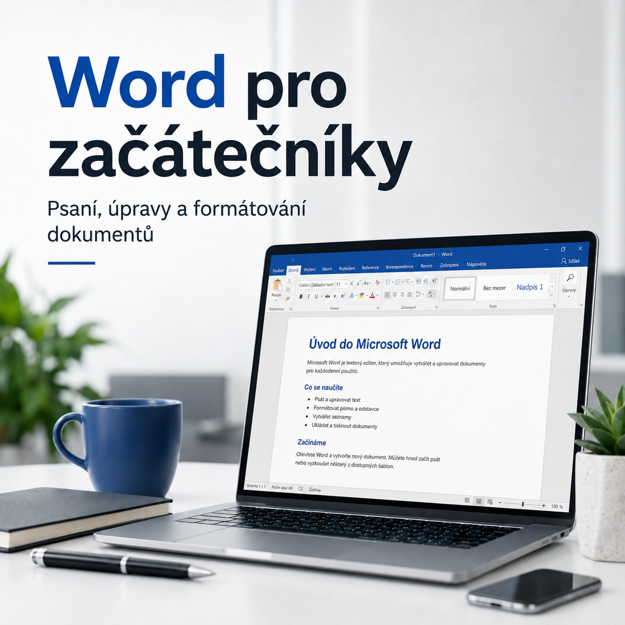MS Word pro úplné začátečníky - individuál